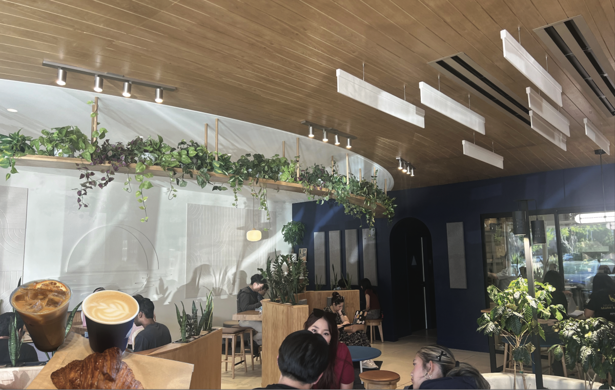 Where is the best coffee in San Jos&#233;?